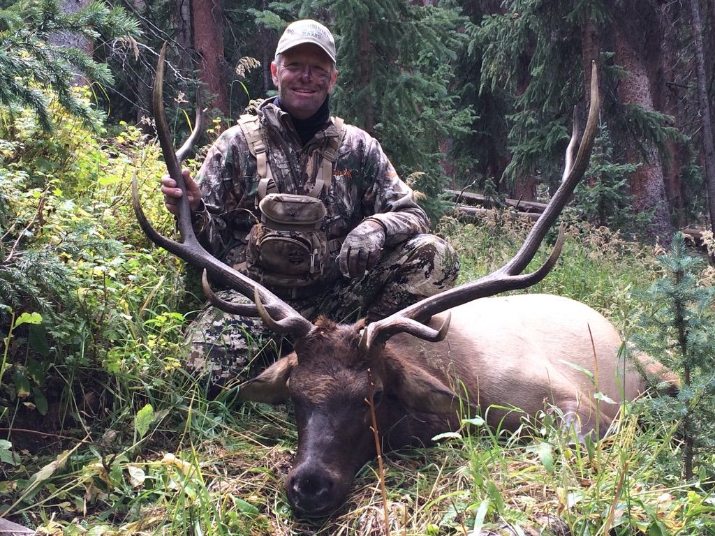 Colorado archery elk hunting GMU 65