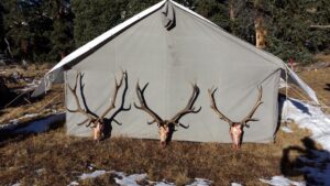 elk hunting unit 66