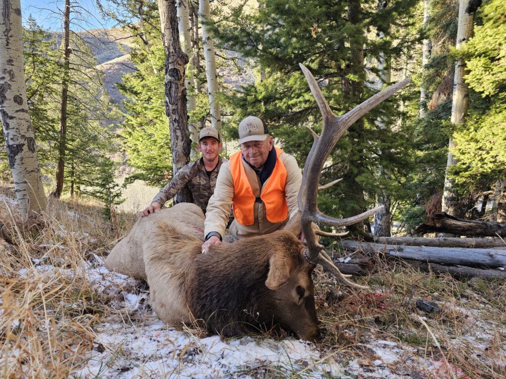 Hamilton Guided Rifle Elk Hunting