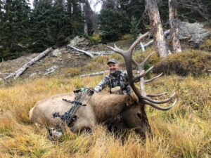 colorado archery hunting
