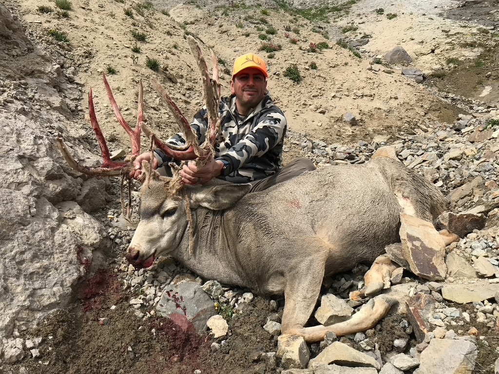Early Rifle Mule Deer Hunting
