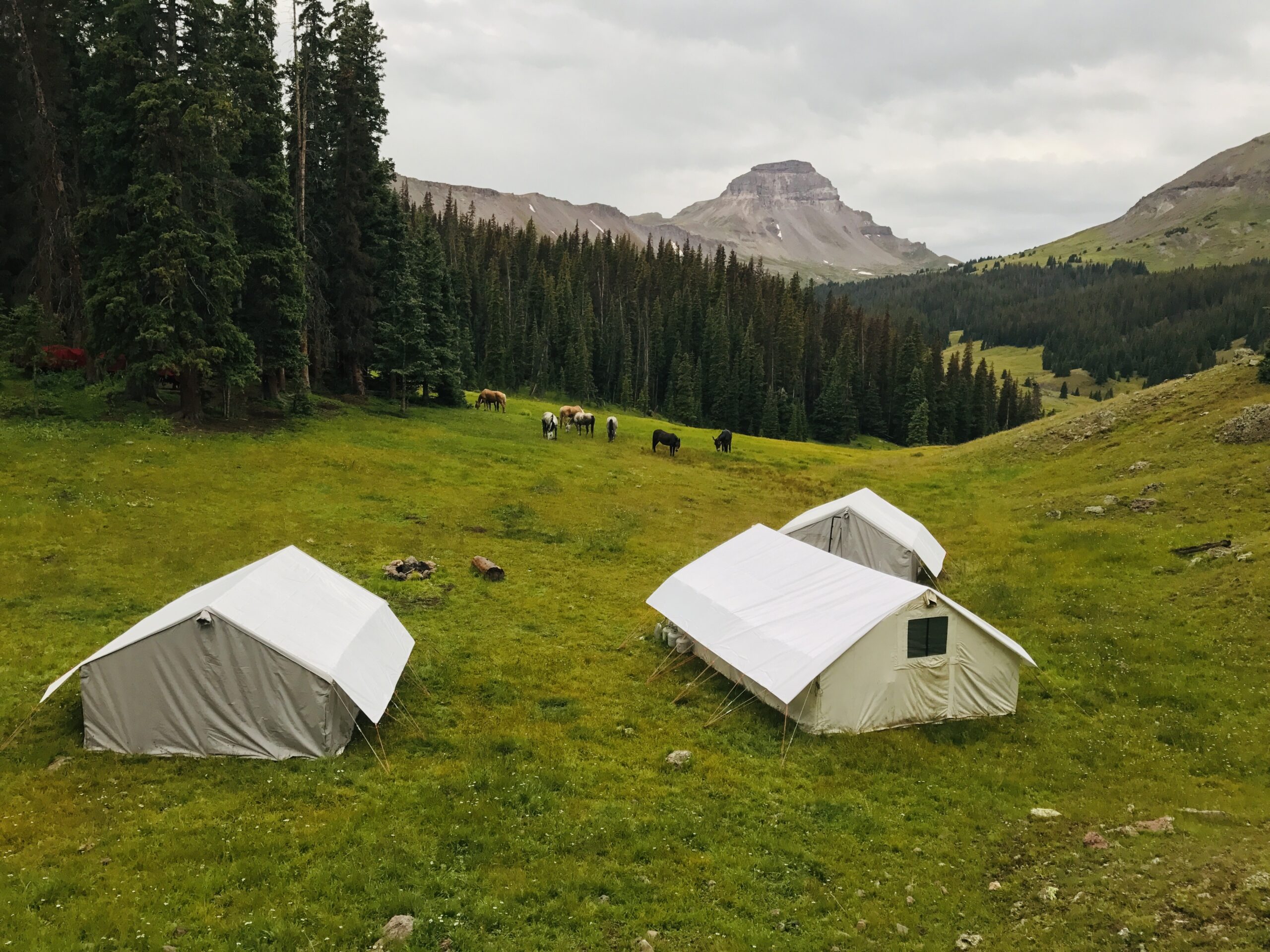colorado elk hunting camp