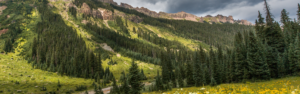Colorado elk hunting unit 65