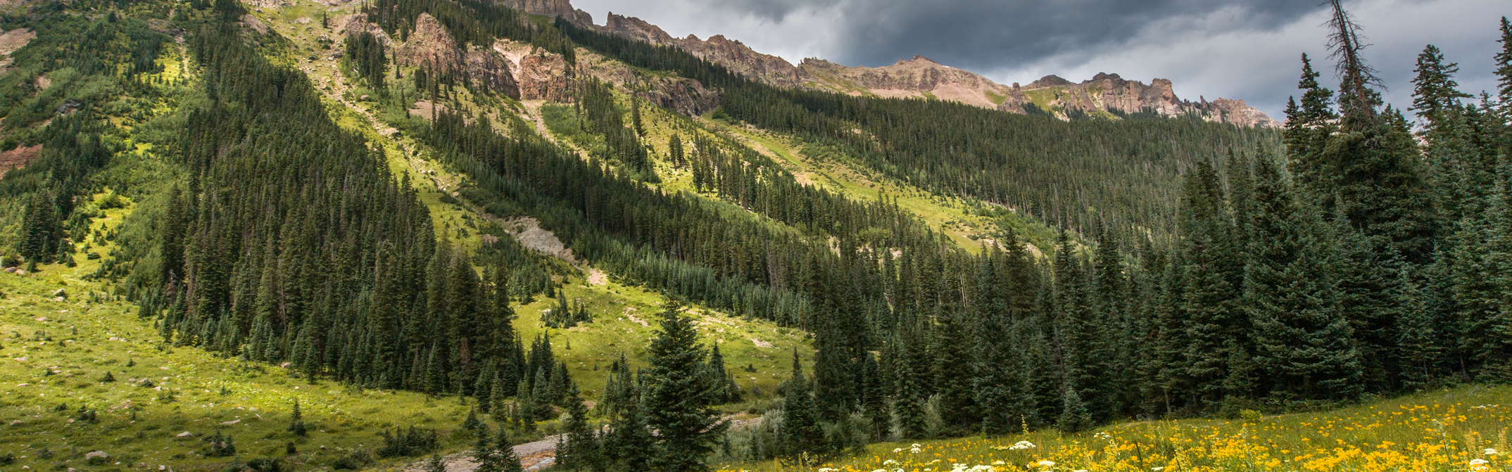 Colorado elk hunting unit 65