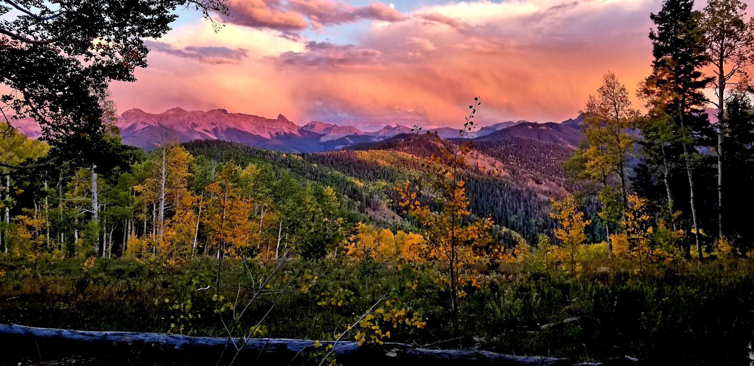Colorado elk and mule deer hunting