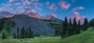 Timberline Mule Deer Hunting