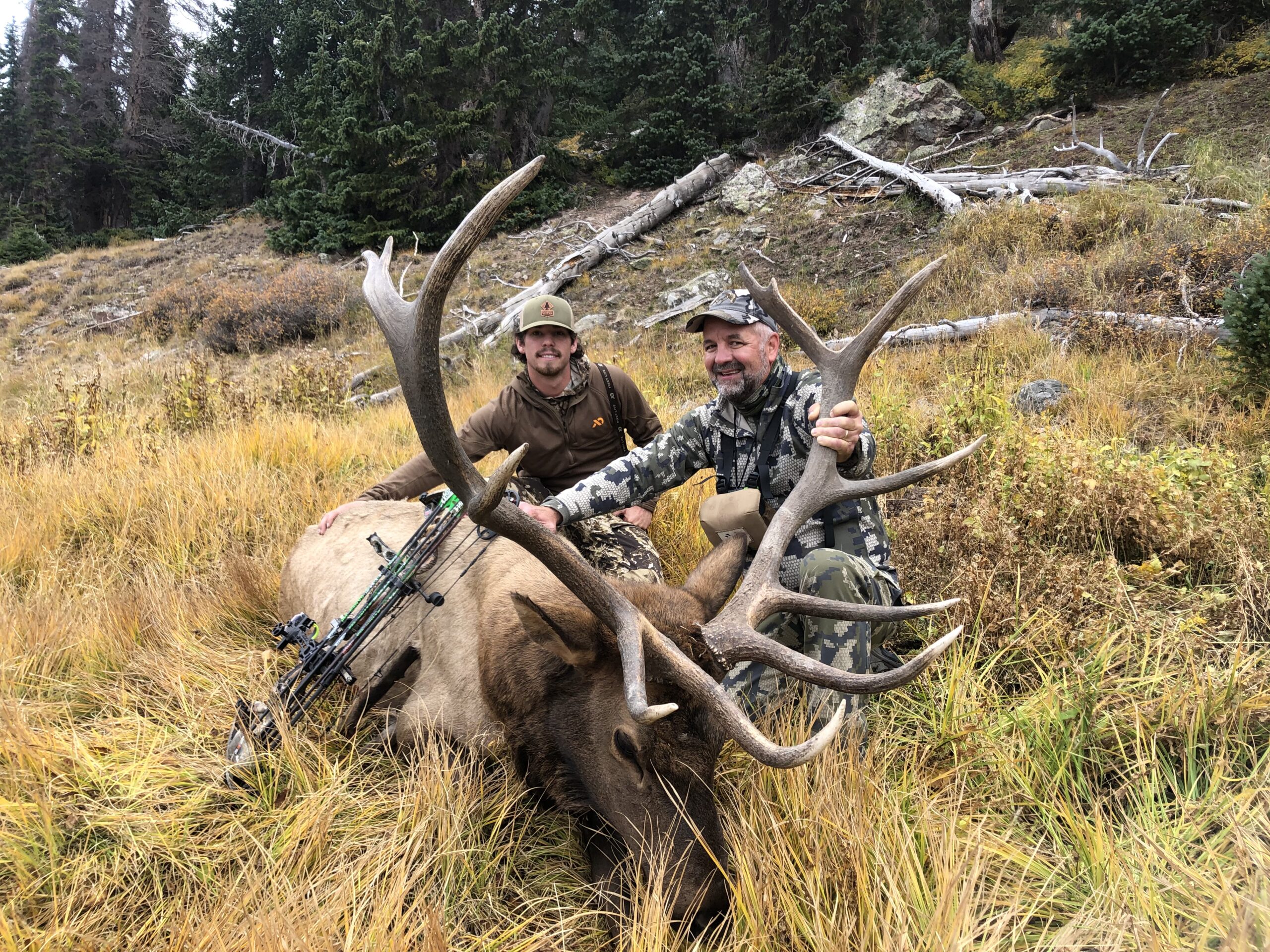 Guided elk hunts