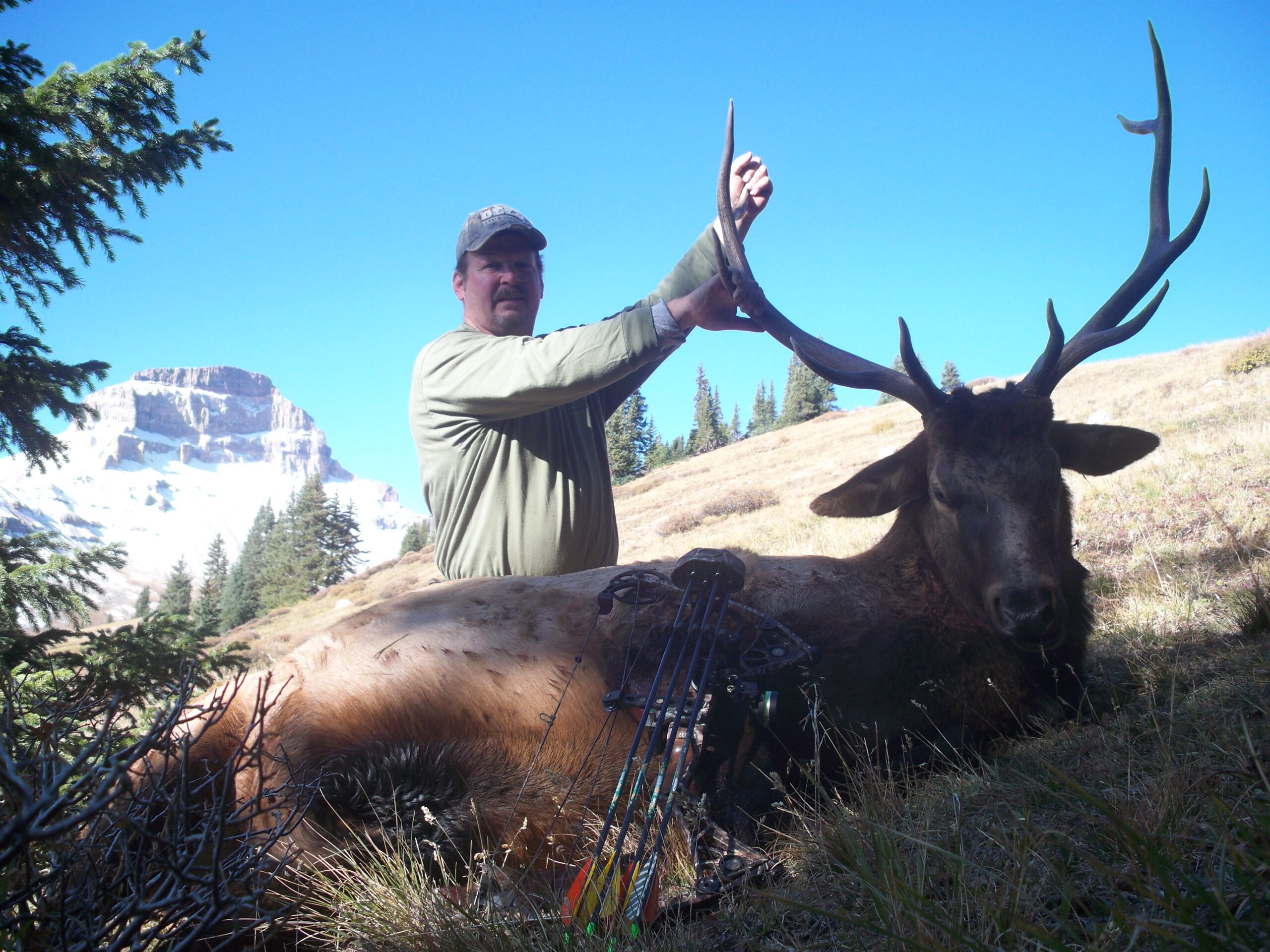 Guided Elk Hunting in Colorado