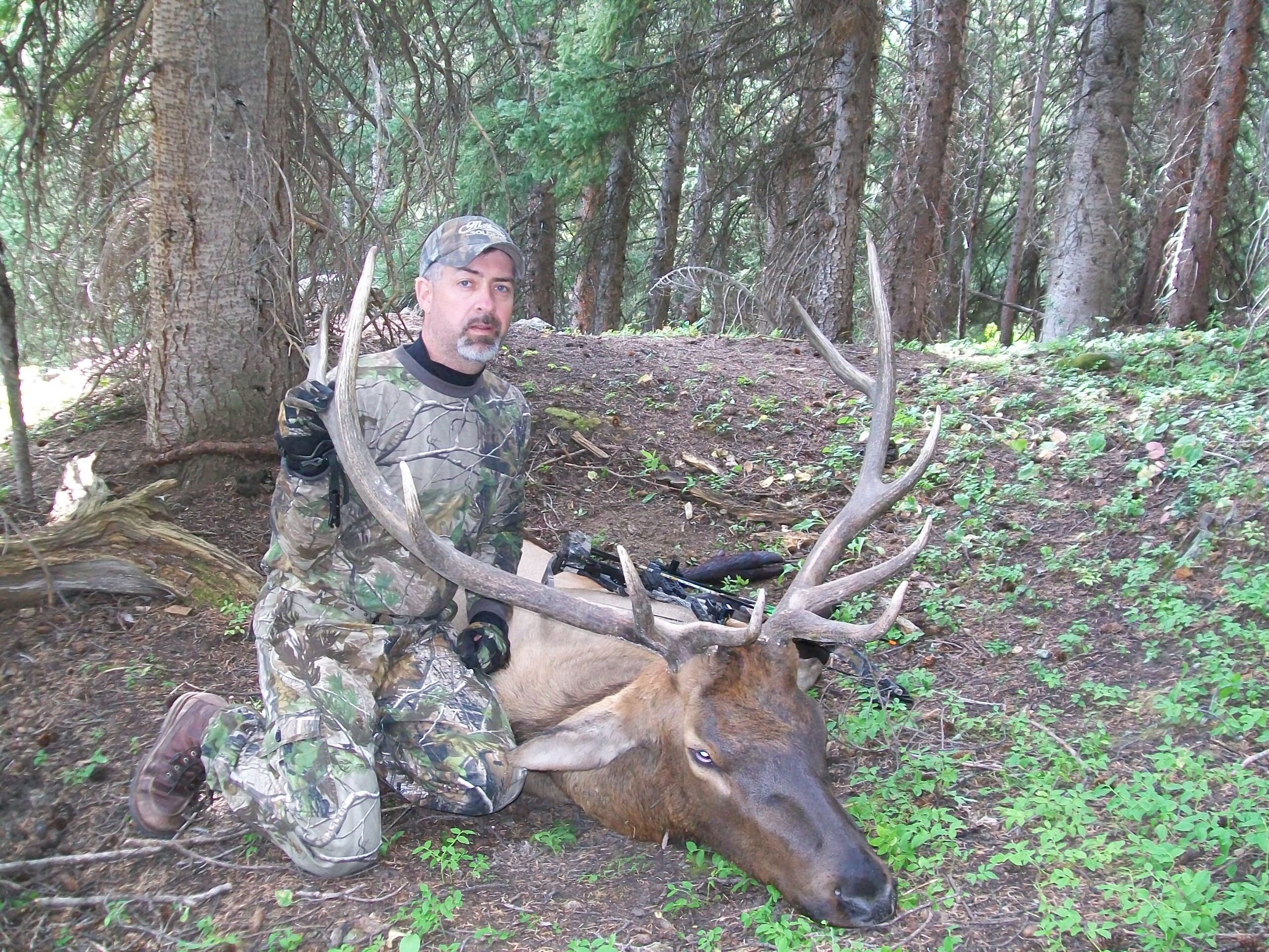 Smith Archery Elk Hunt GMU 65