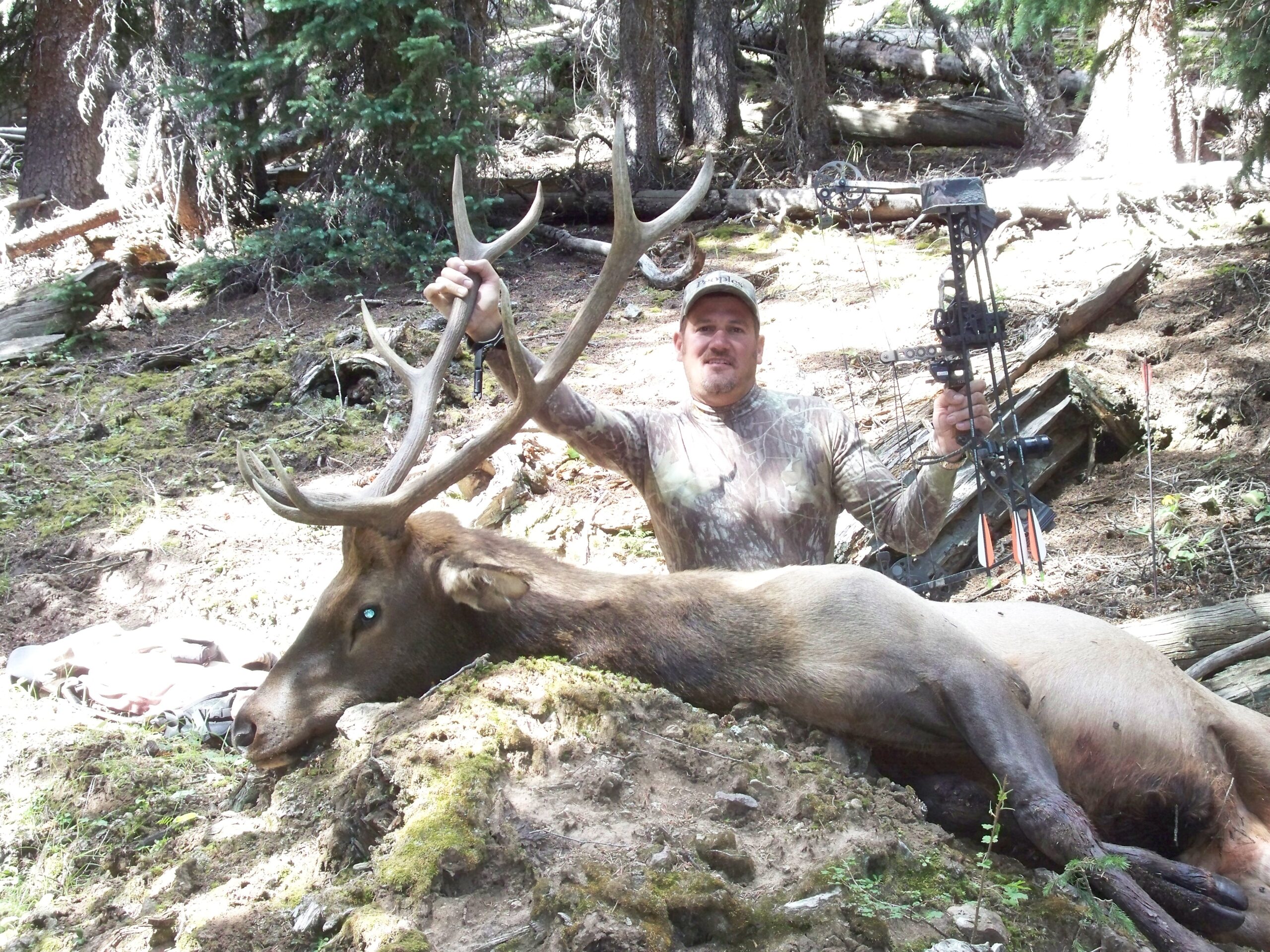 Hunting for Elk Archery