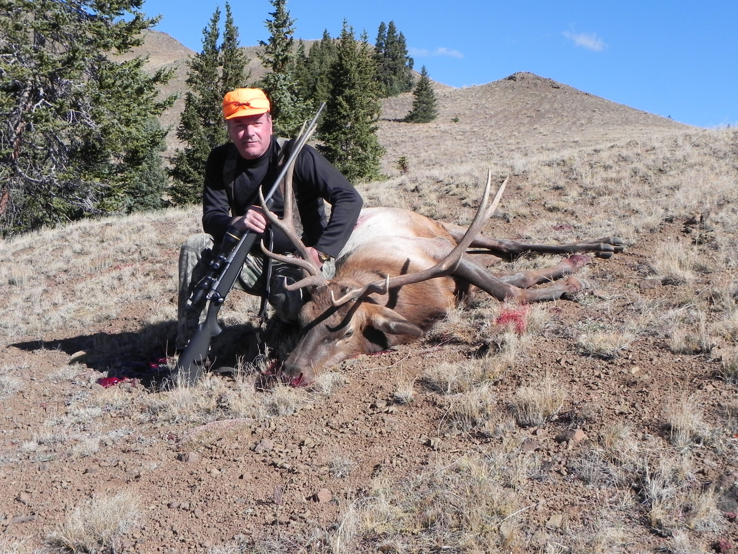 Guided Rifle Elk Hunting in Colorado