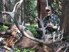 Colorado Elk Hunting